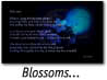 Blossoms...